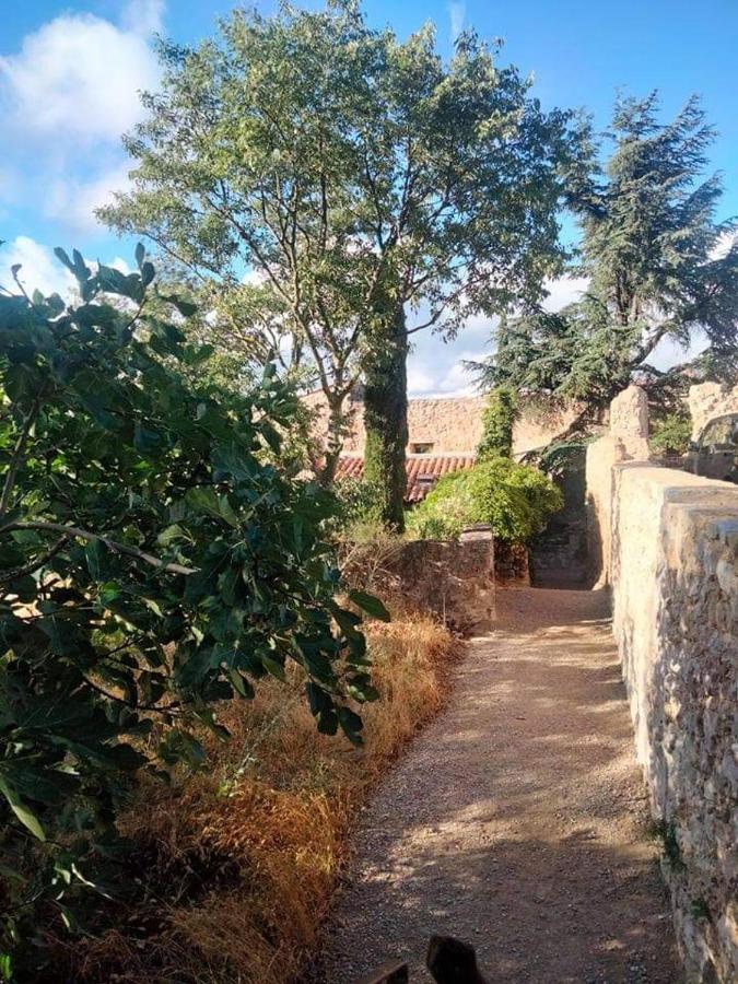 4 Safraniers Bed & Breakfast Sillans-la Cascade Exterior foto