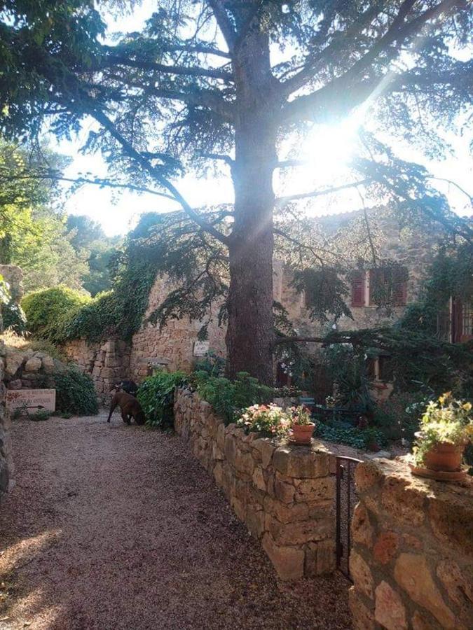 4 Safraniers Bed & Breakfast Sillans-la Cascade Exterior foto